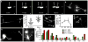 Extended Data Figure 1