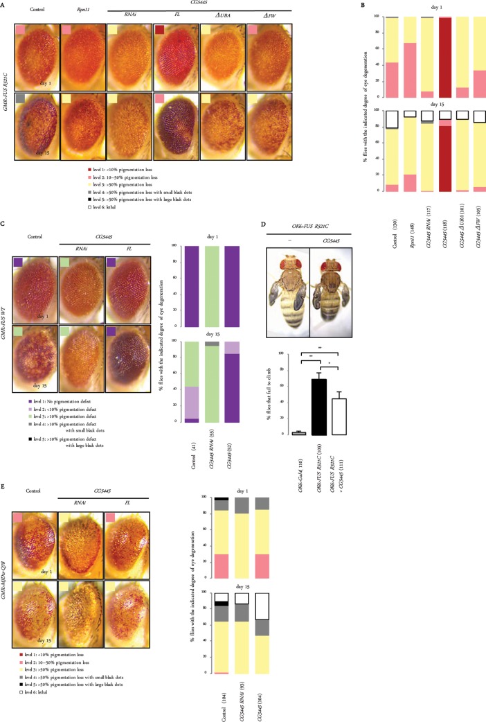 FIG 4