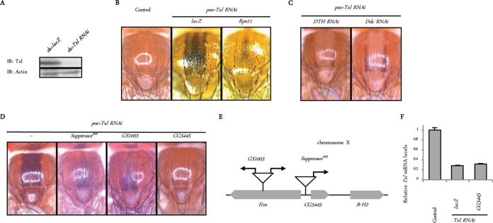 FIG 1