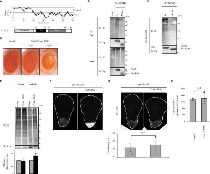 FIG 2