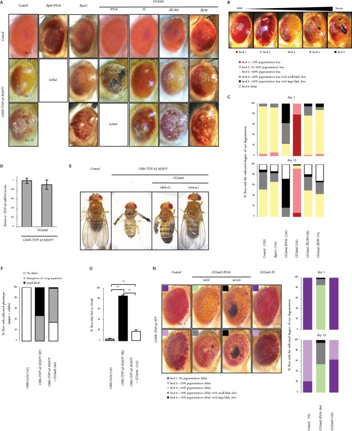 FIG 3