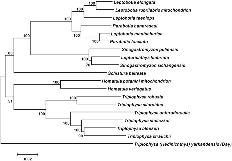 Figure 1.