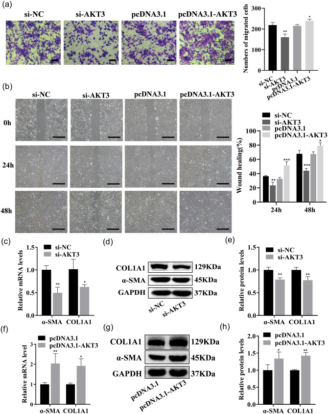 Figure 14.