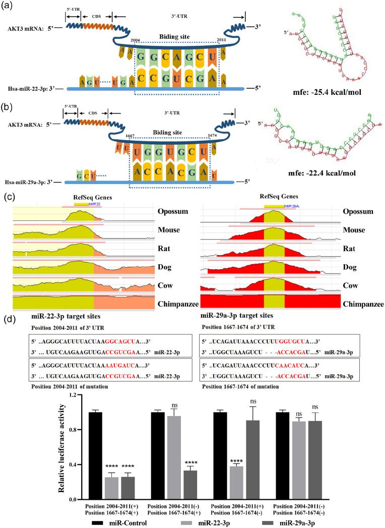 Figure 11.