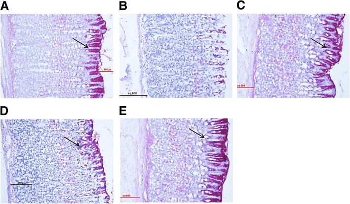 Fig. 9