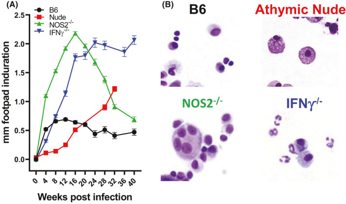 FIGURE 2