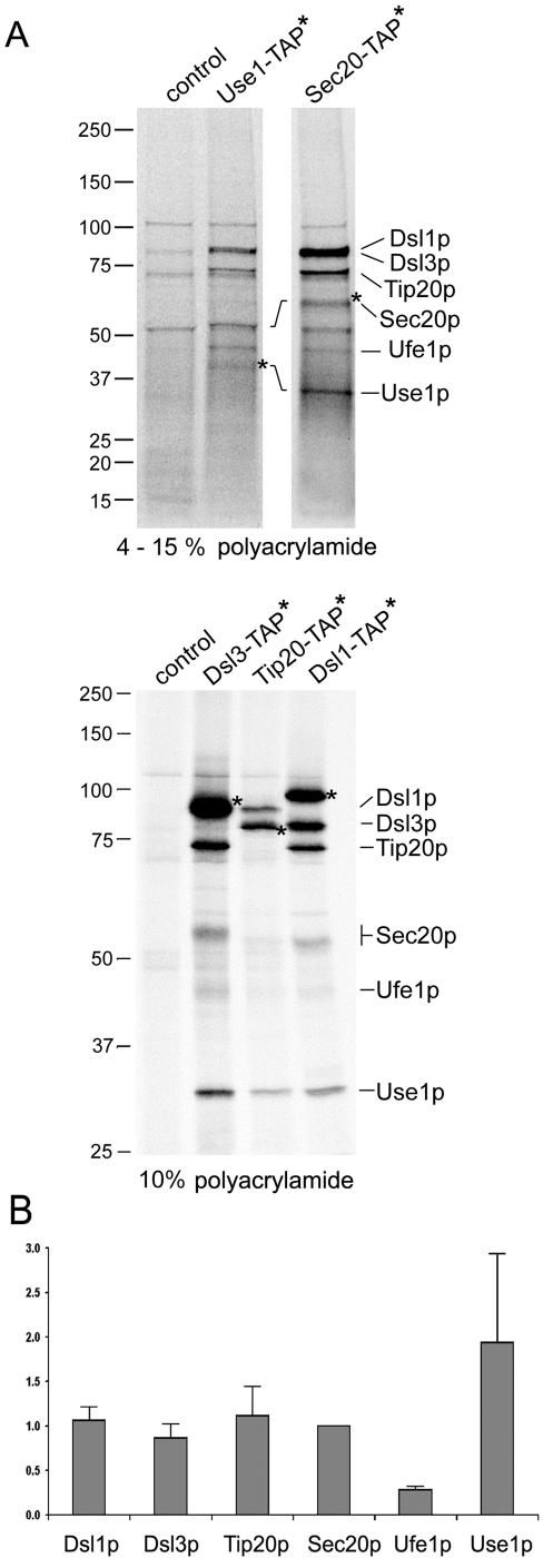 Figure 6.