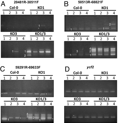 Fig. 3.