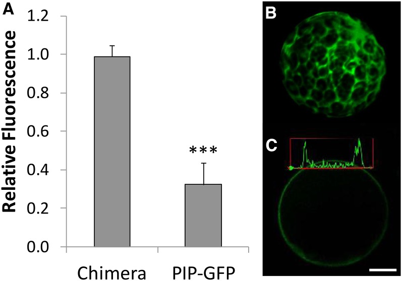 Figure 10.