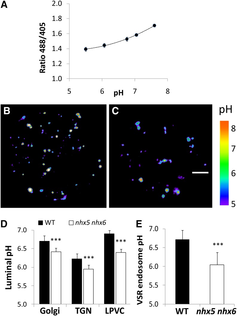 Figure 6.