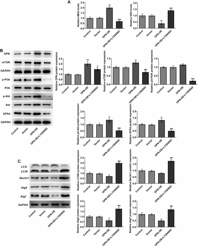 Fig. 6