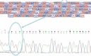 Fig. 3: