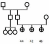 Pedigree 4: