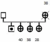 Pedigree 1: