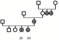 Pedigree 2: