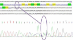Fig. 1: