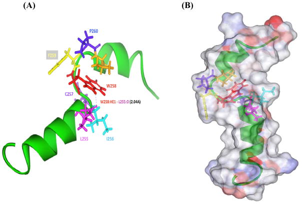 Fig. 4