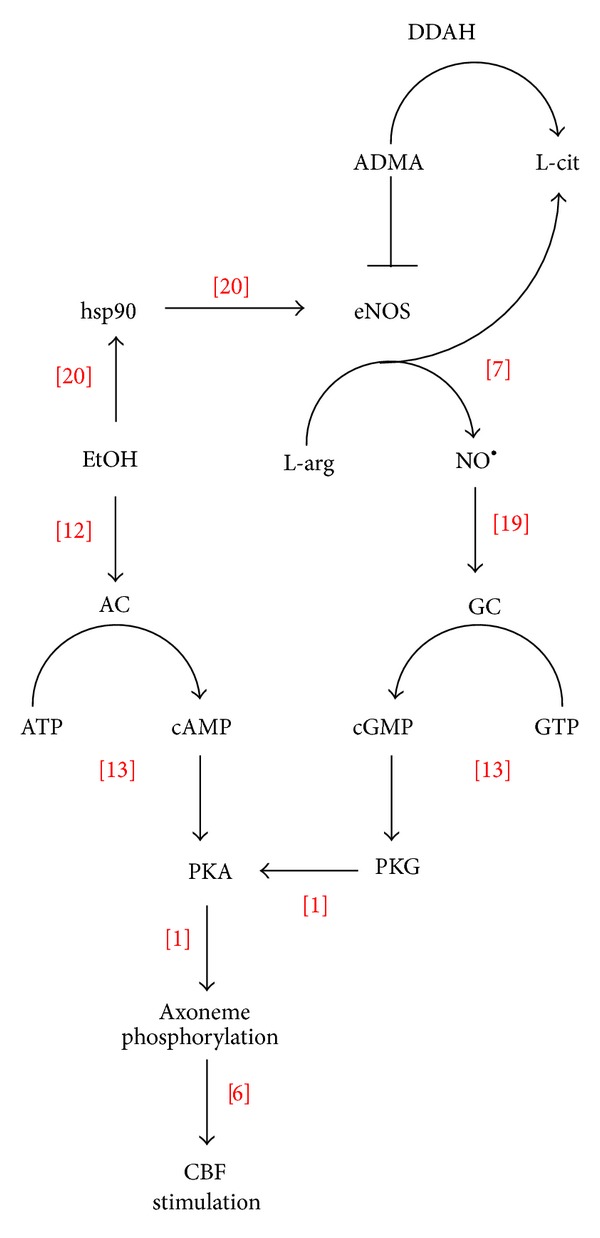 Figure 7