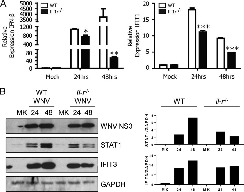 FIG 3 