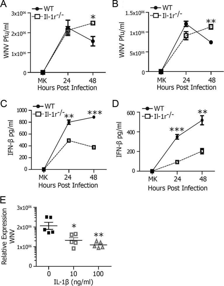 FIG 1 