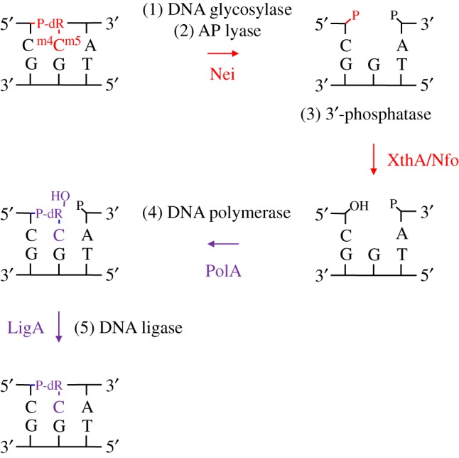 Figure 4.