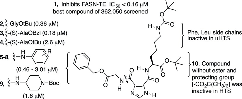 Fig. 1.