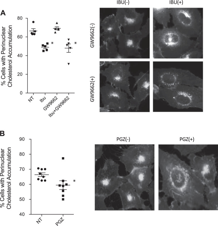 Fig. 9.