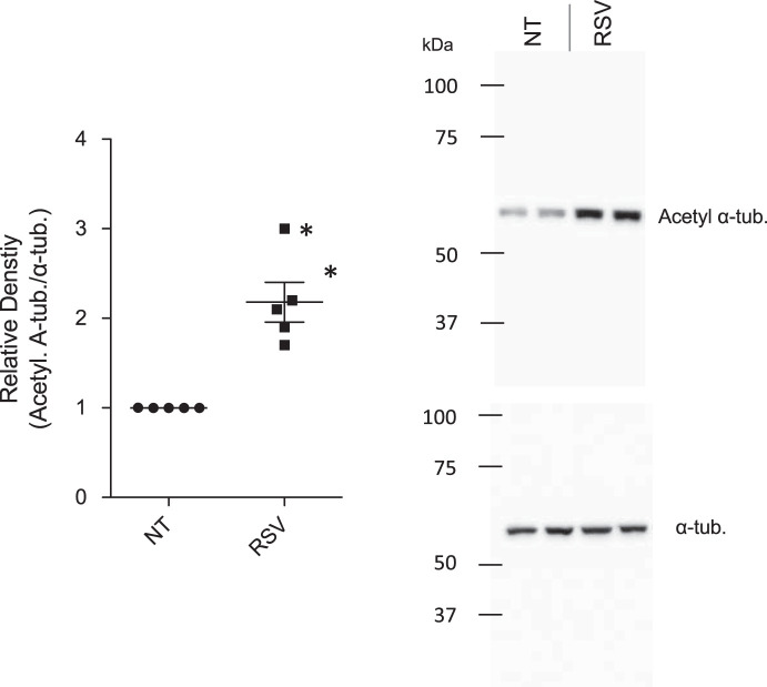 Fig. 10.