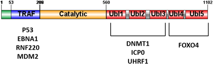 Figure 2