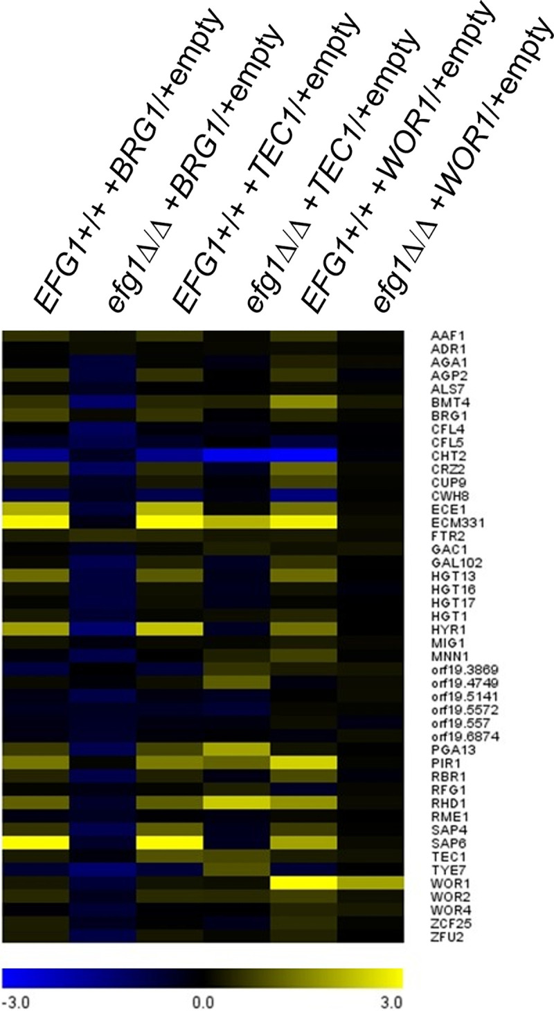 FIG 6