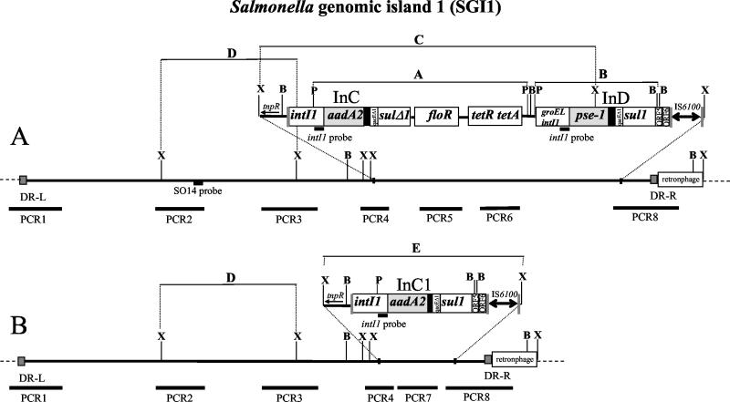 FIG. 1.