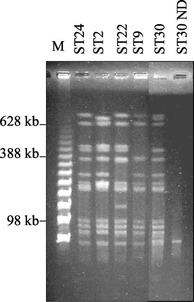 FIG. 5.