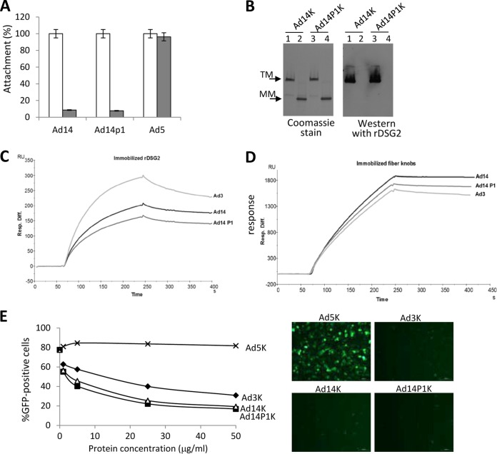 FIG 10