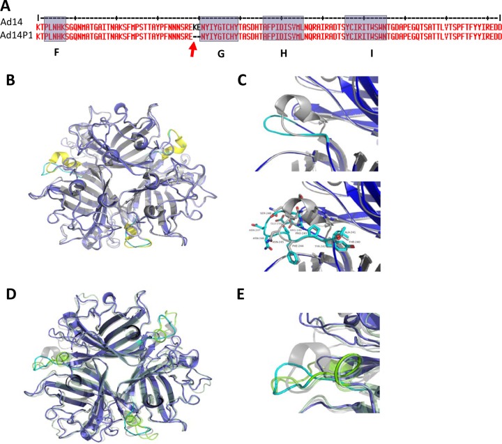 FIG 8