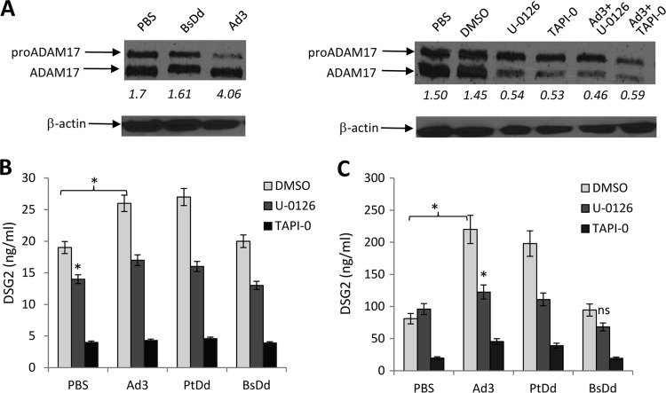 FIG 6