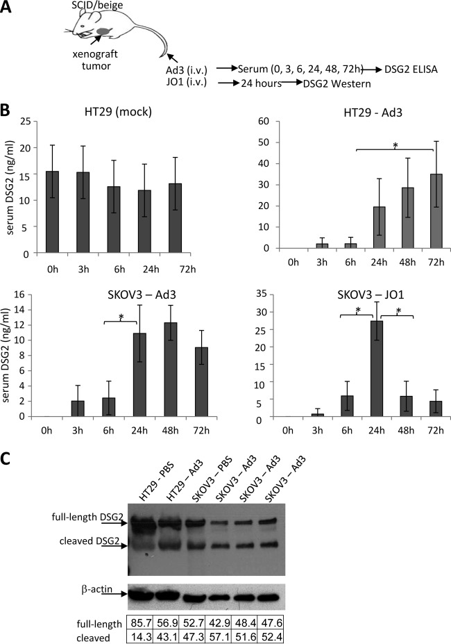 FIG 3