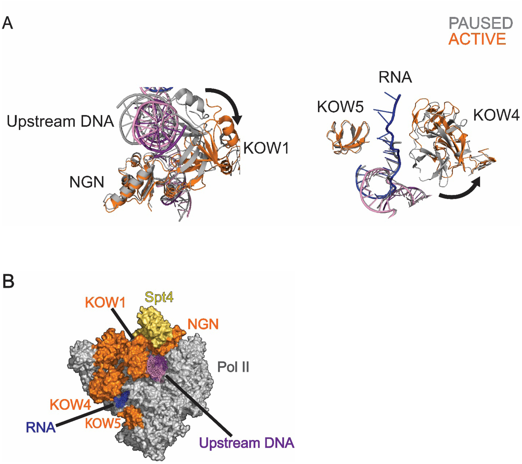 Figure 2: