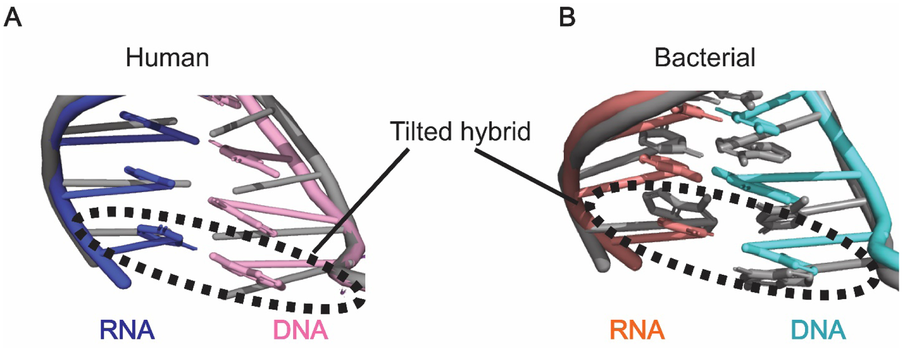 Figure 3: