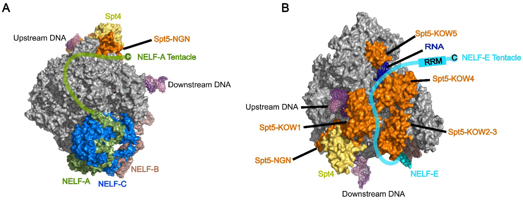 Figure 1: