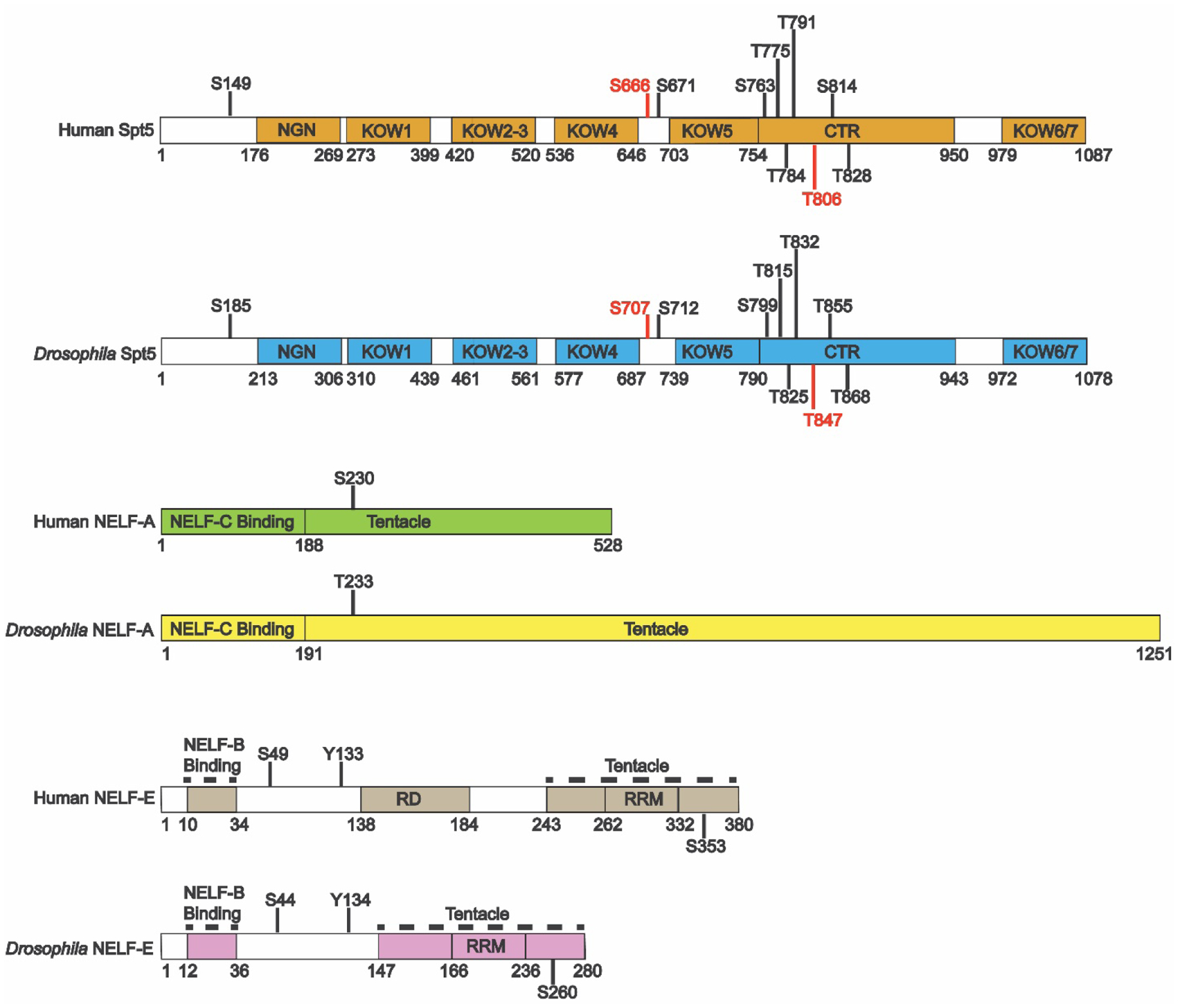 Figure 4: