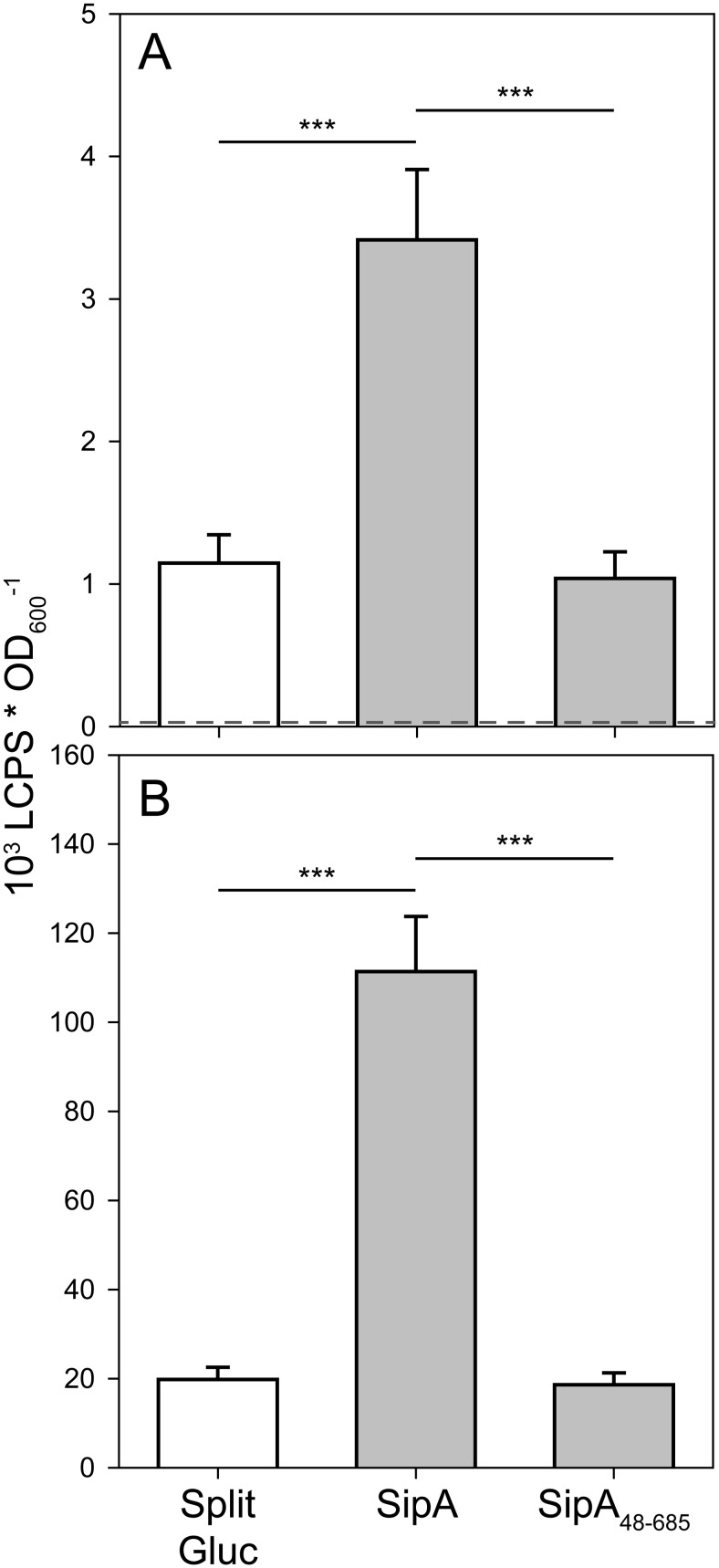 Fig 5