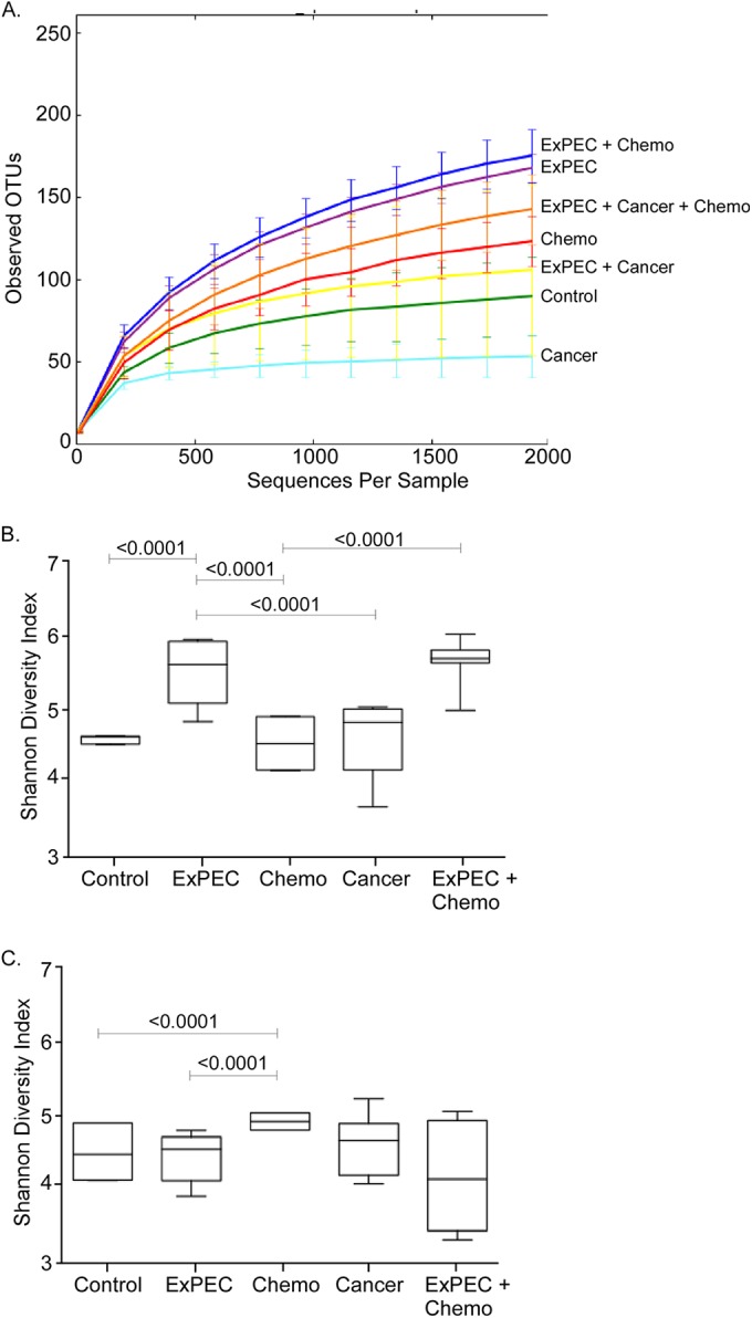 FIG 6