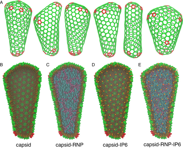 Fig. 1.