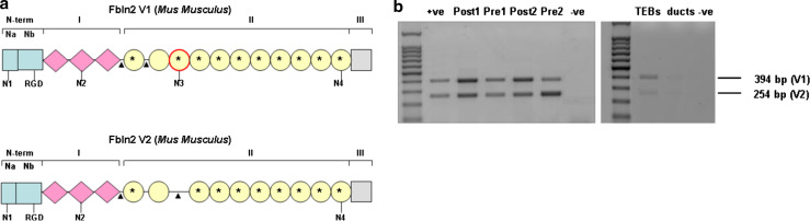 Fig. 5