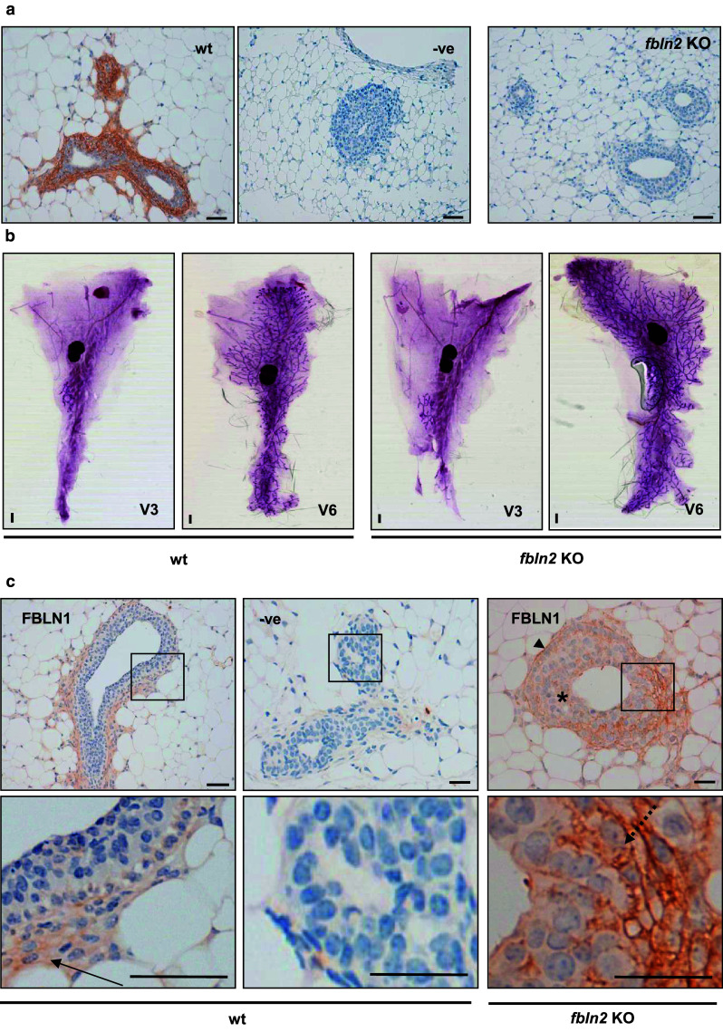 Fig. 8