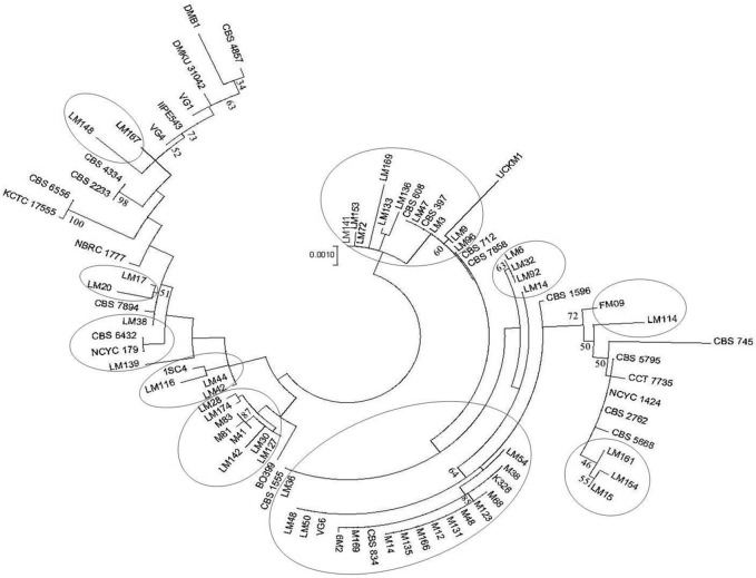 Fig. 1.