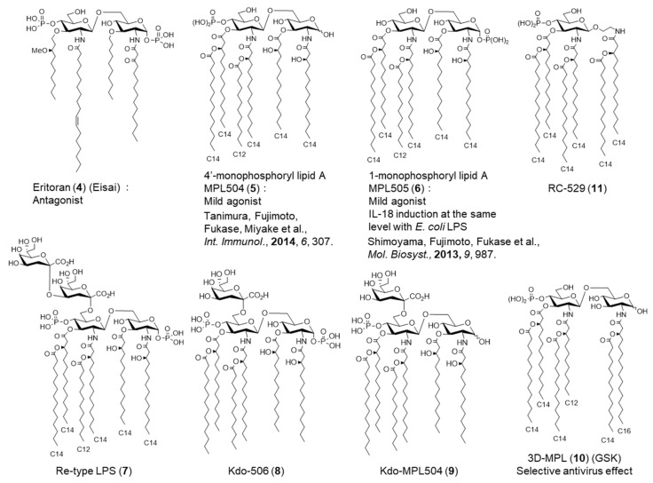 Figure 6