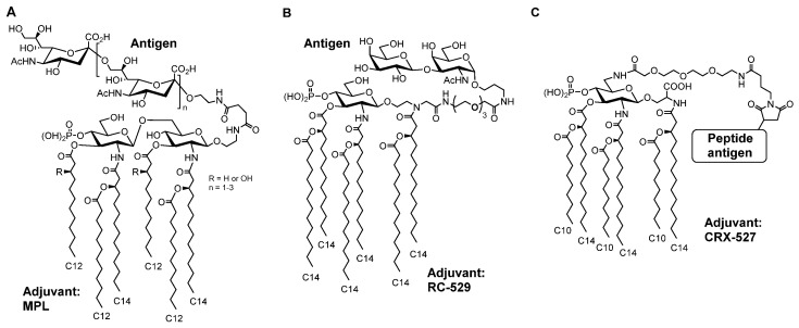 Figure 12