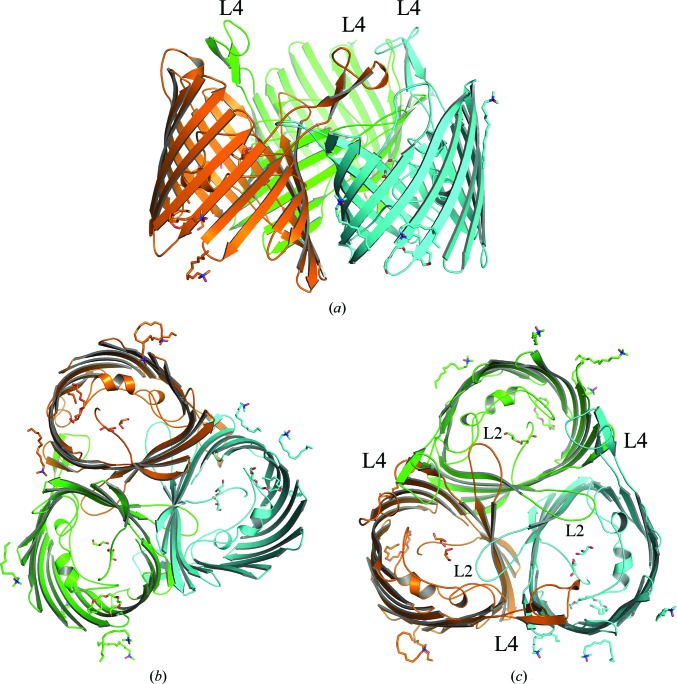 Figure 2