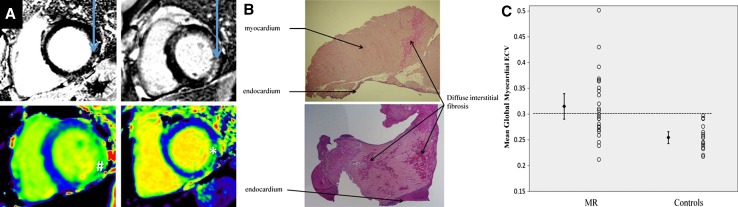 Fig. 9